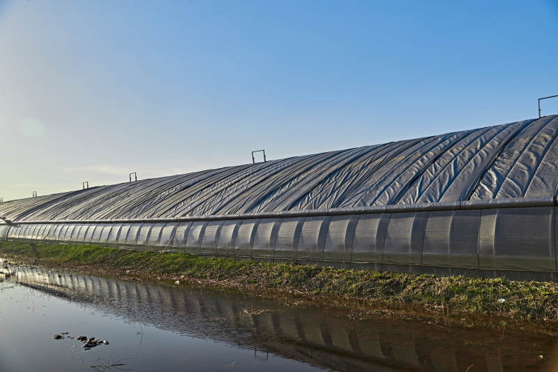 河北省沽源县库伦淖尔景区春季蔬菜大棚图片
