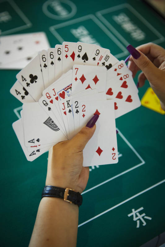 掼蛋扑克比赛现场图片