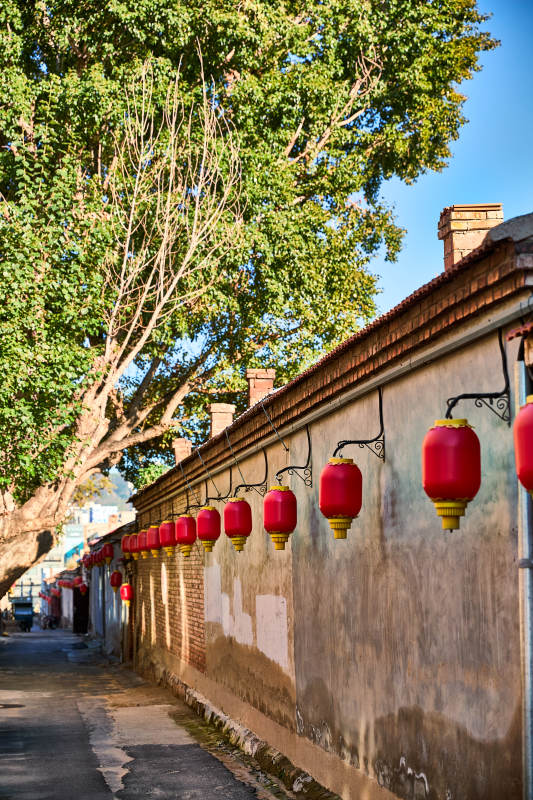 河北省张家口市桥西区堡子里街道街景图片