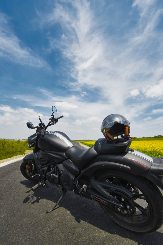 中国河北省张家口沽源县天鹅湖景区油菜花田图片