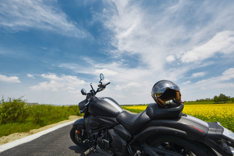 中国河北省张家口沽源县天鹅湖景区油菜花田图片