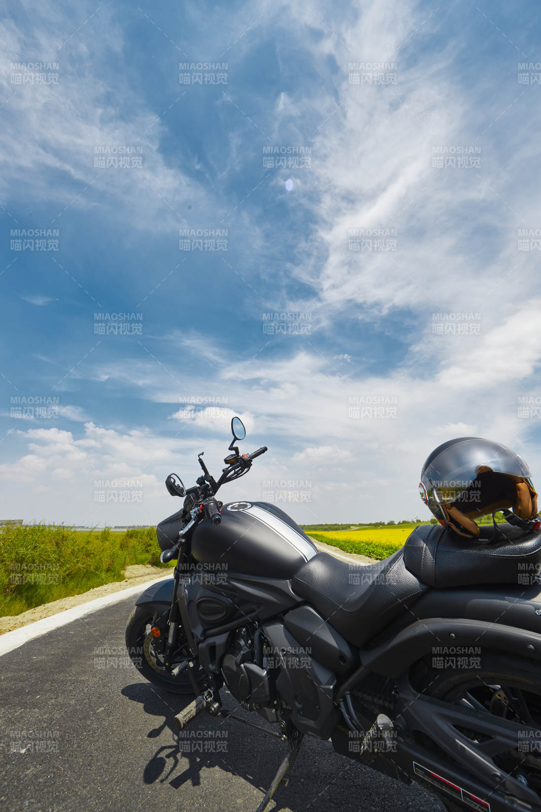 中国河北省张家口沽源县天鹅湖景区油菜花田图片