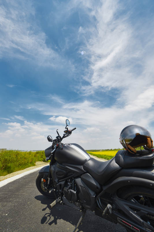 中国河北省张家口沽源县天鹅湖景区油菜花田图片