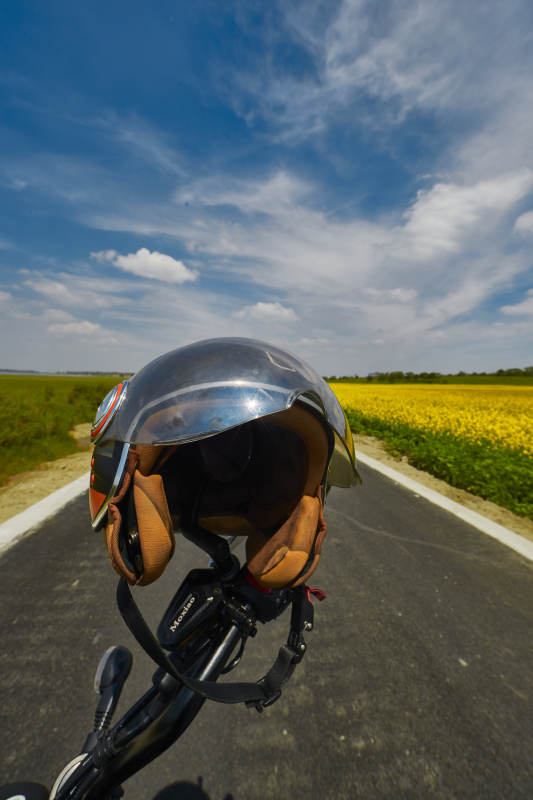 中国河北省张家口沽源县天鹅湖景区油菜花田图片