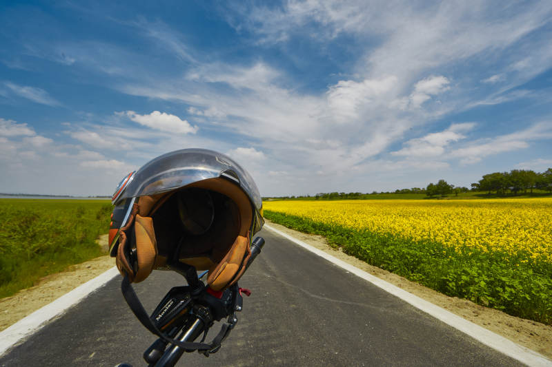 中国河北省张家口沽源县天鹅湖景区油菜花田图片