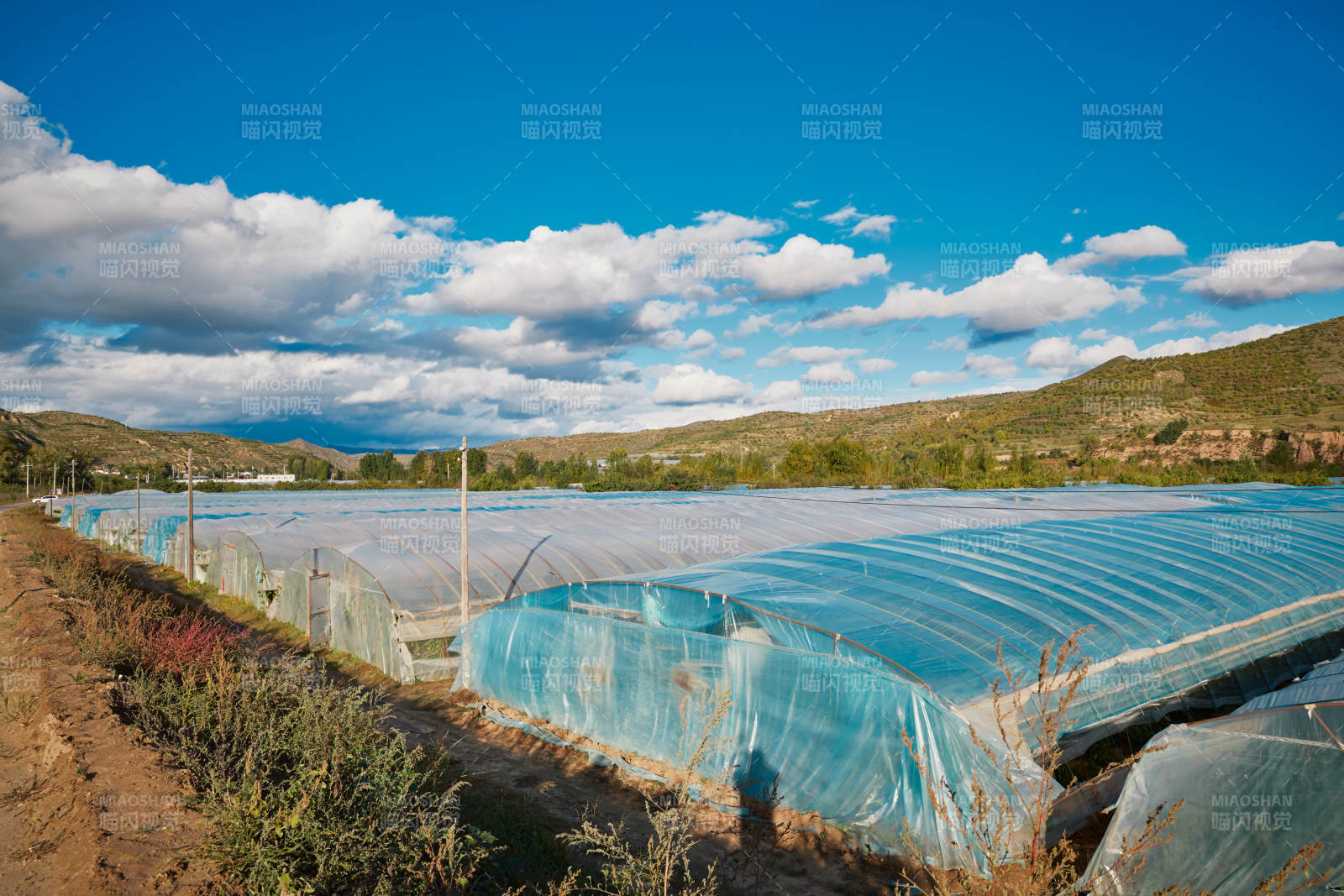 中国河北省张家口市崇礼县四杆旗村蔬菜大棚种植图片