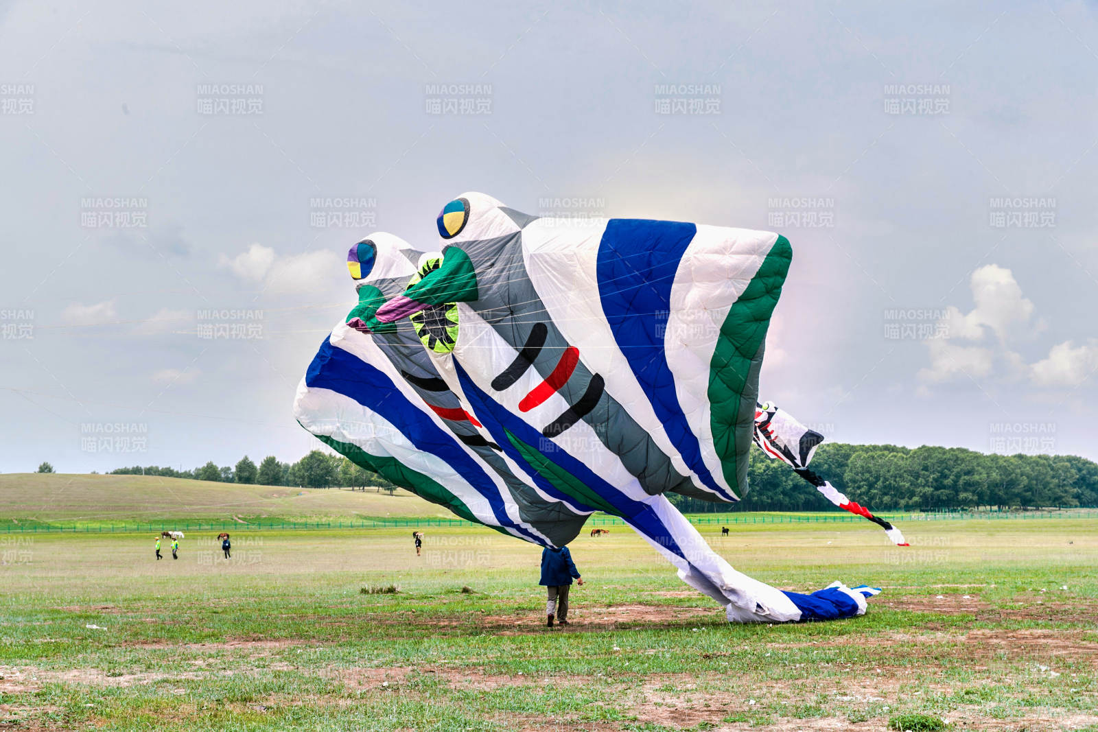 在坝上草原举行的国际风筝大型赛事图片