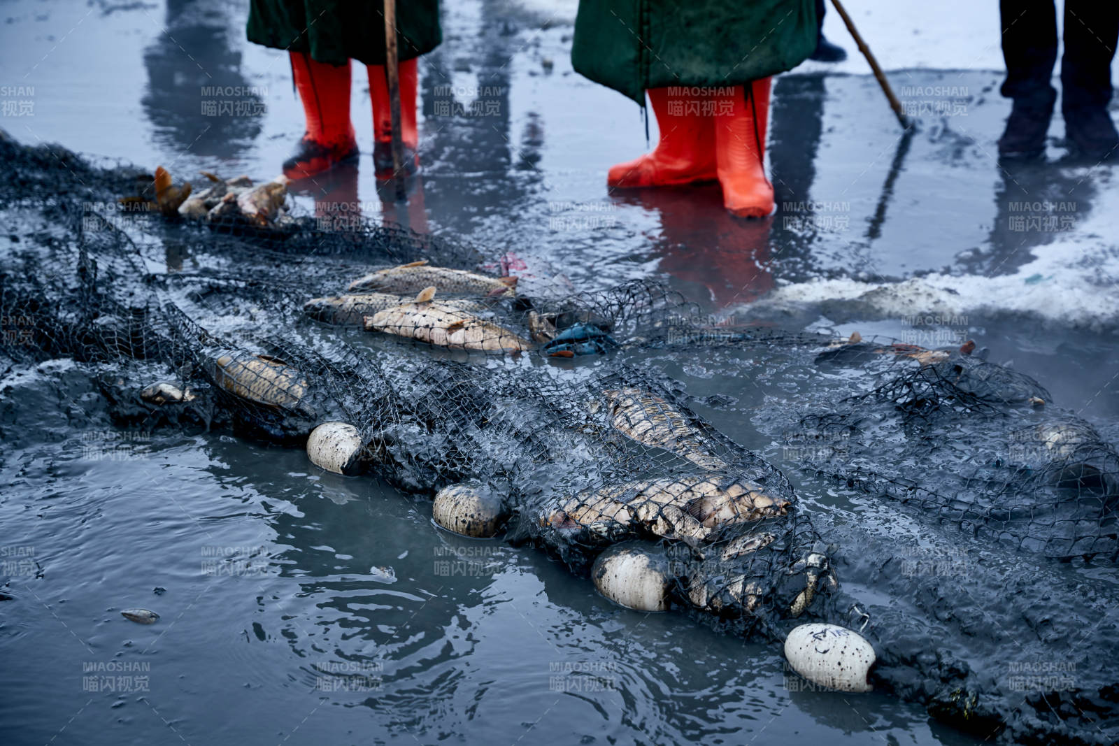 冬季湖面冰上捕鱼活动图片
