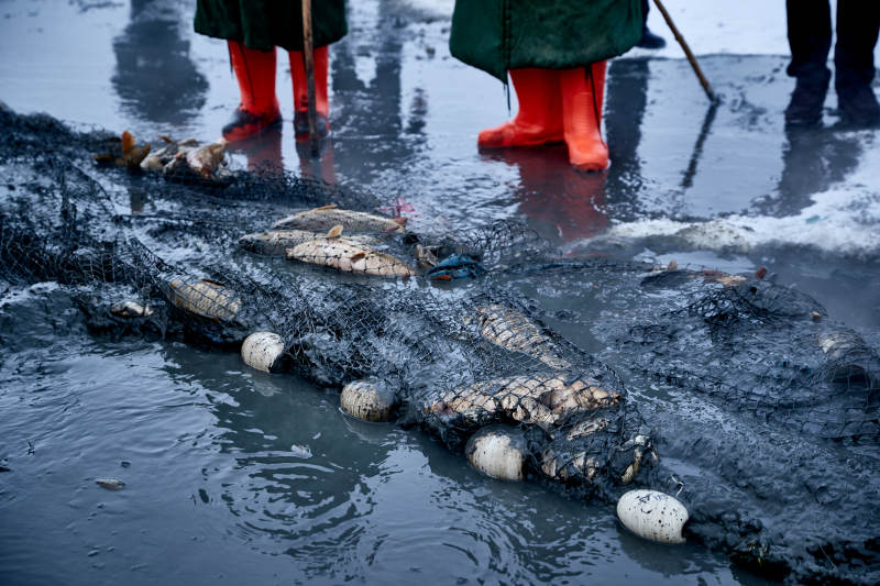 冬季湖面冰上捕鱼活动图片