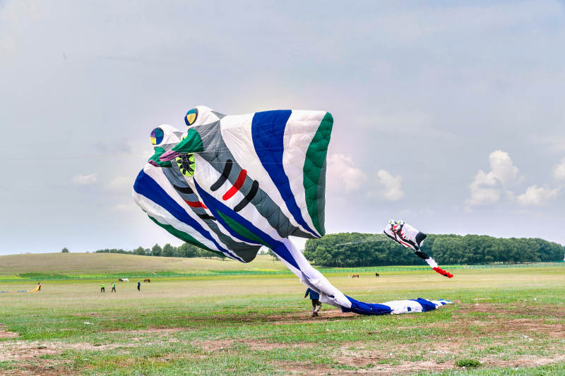 在坝上草原举行的国际风筝大型赛事图片