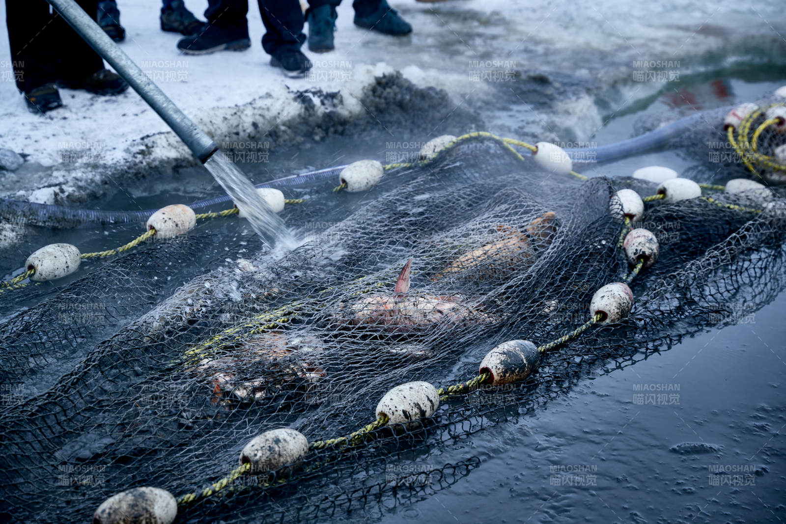 冬季湖面冰上捕鱼活动图片