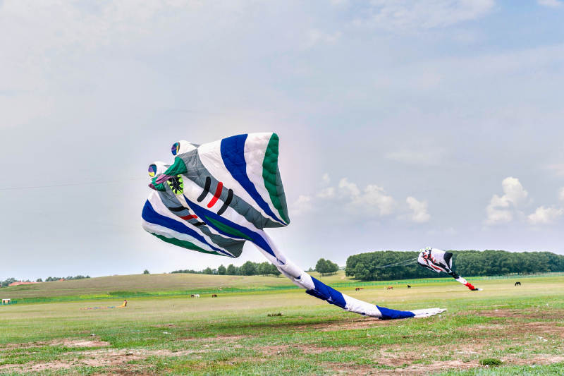 在坝上草原举行的国际风筝大型赛事图片