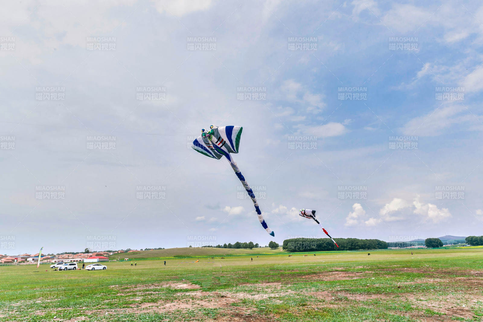 在坝上草原举行的国际风筝大型赛事图片