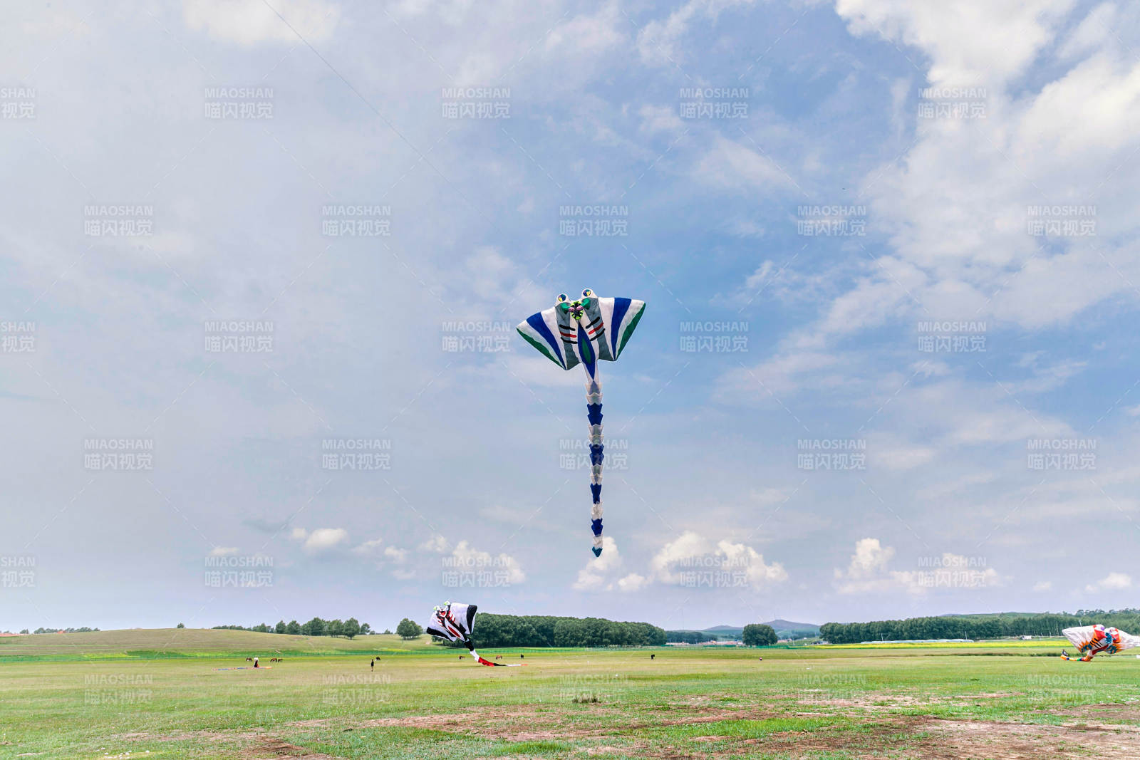 在坝上草原举行的国际风筝大型赛事图片