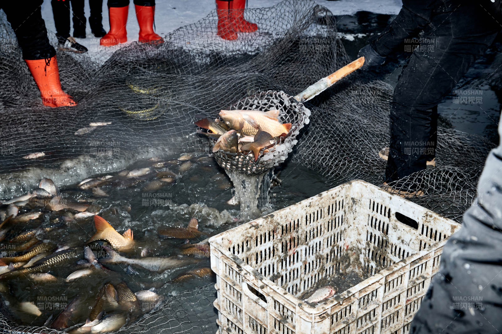 冬季湖面冰上捕鱼活动图片