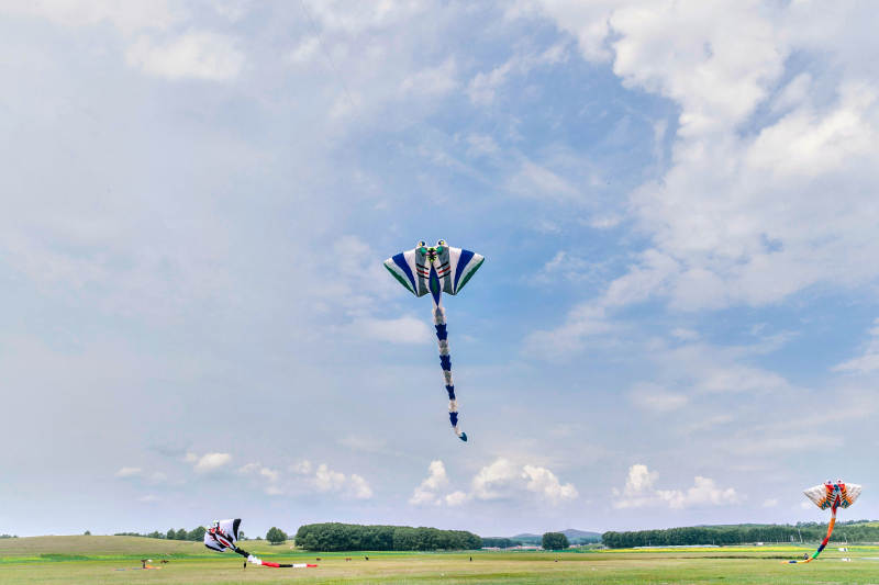 在坝上草原举行的国际风筝大型赛事图片
