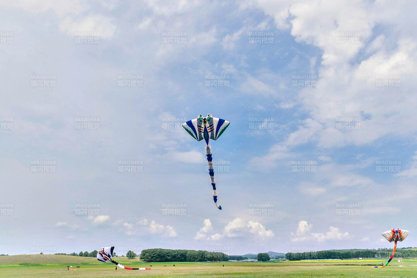 在坝上草原举行的国际风筝大型赛事图片