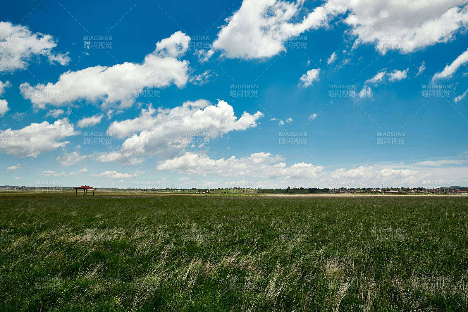 中国河北省张家口沽源县天鹅湖景区湿地花海图片