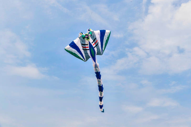 在坝上草原举行的国际风筝大型赛事图片