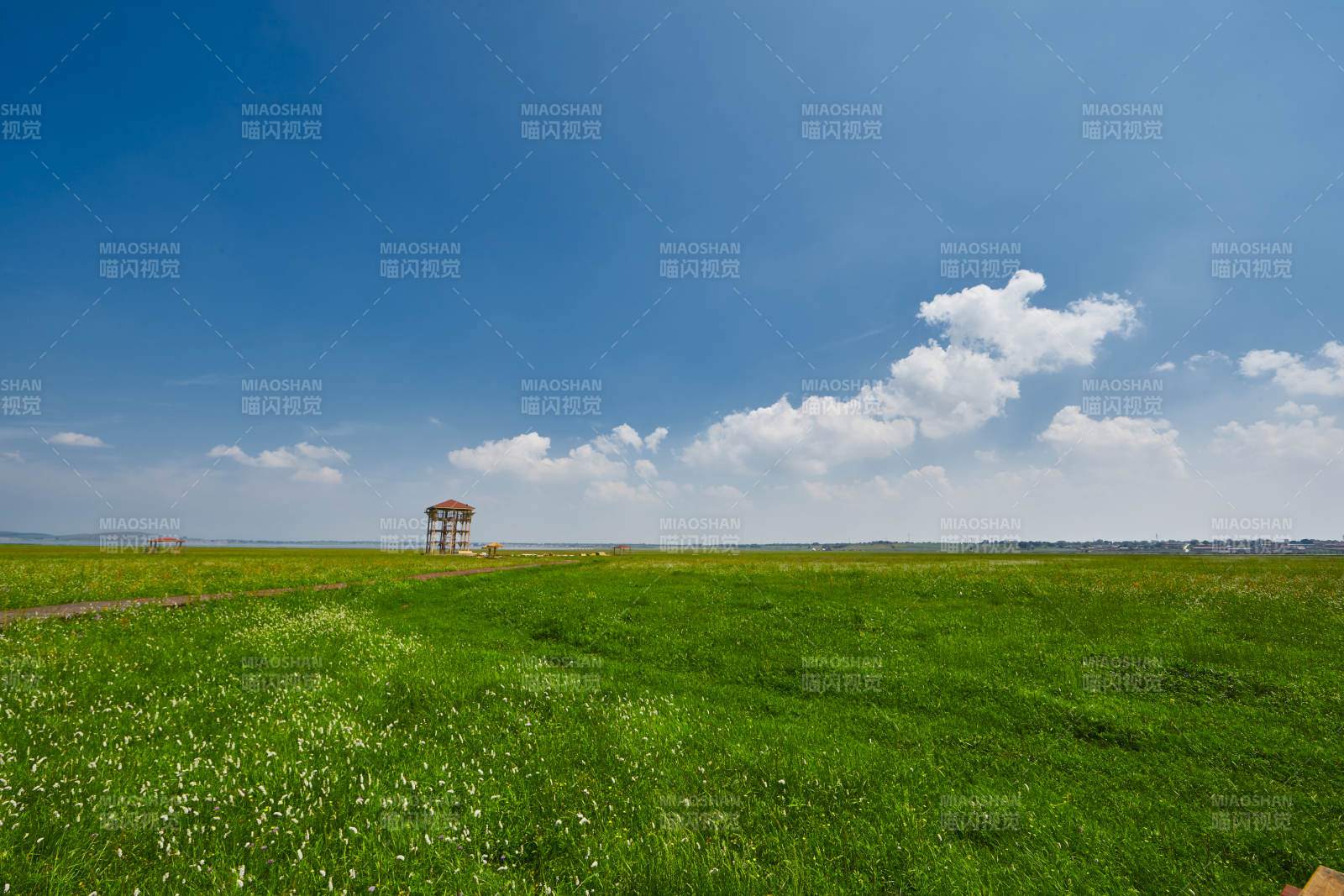 中国河北省张家口沽源县天鹅湖景区湿地花海图片