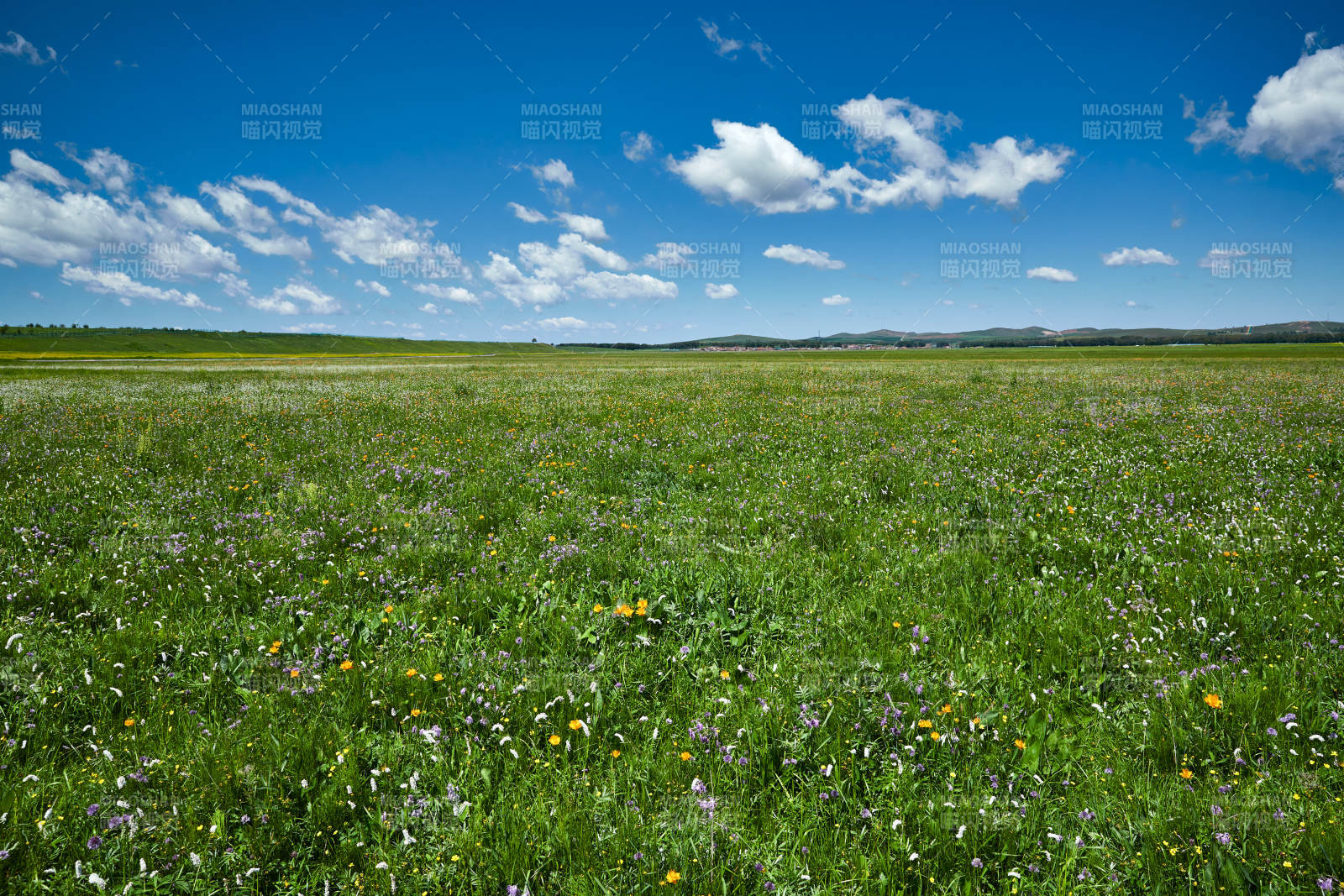中国河北省张家口地区沽源县天鹅湖景区夏天图片