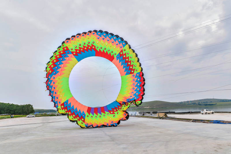 在坝上草原举行的国际风筝大型赛事图片