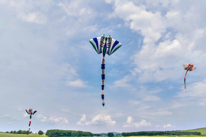 在坝上草原举行的国际风筝大型赛事图片