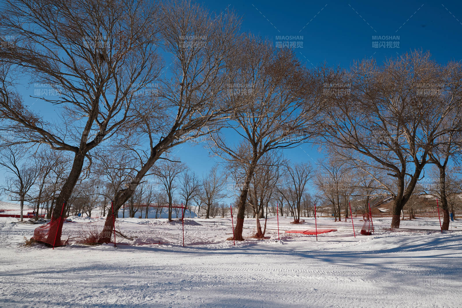 中国河北省沽源县库伦淖滑雪场图片