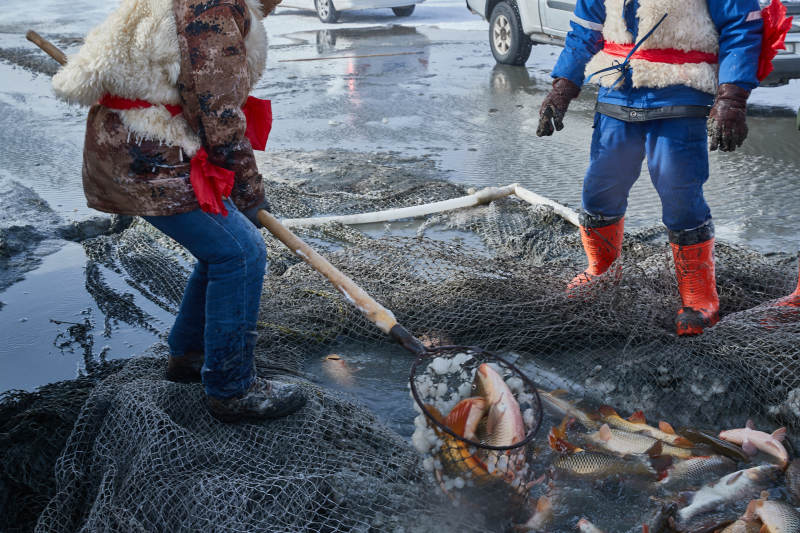 中国河北张家口沽源县库伦淖冬捕活动现场图片
