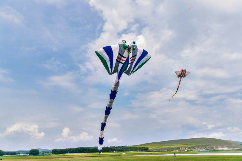 在坝上草原举行的国际风筝大型赛事图片