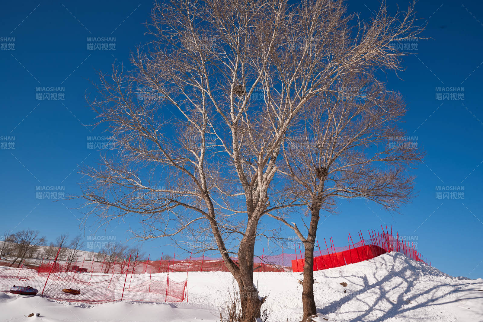 冬季森林自然风景图片