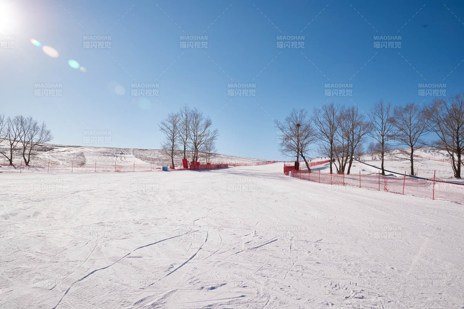 冬季森林自然风景图片