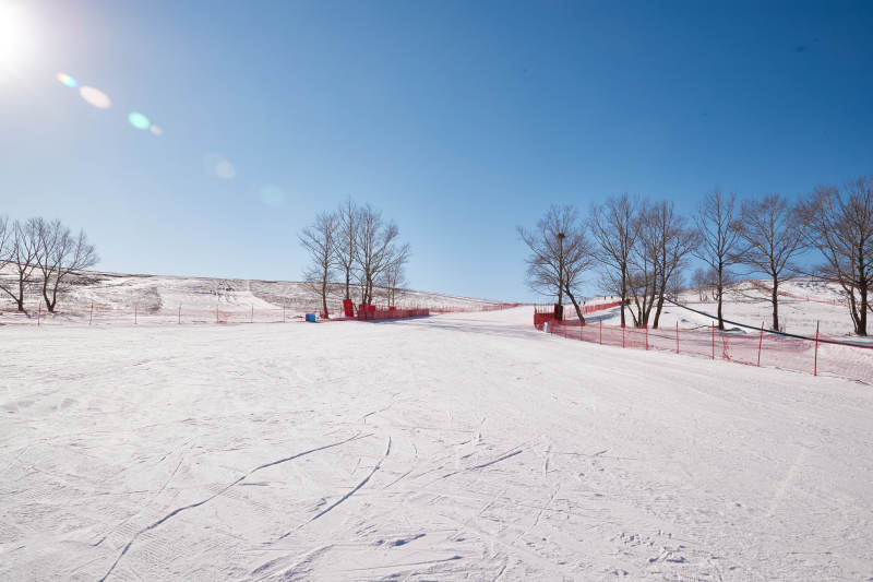 冬季森林自然风景图片