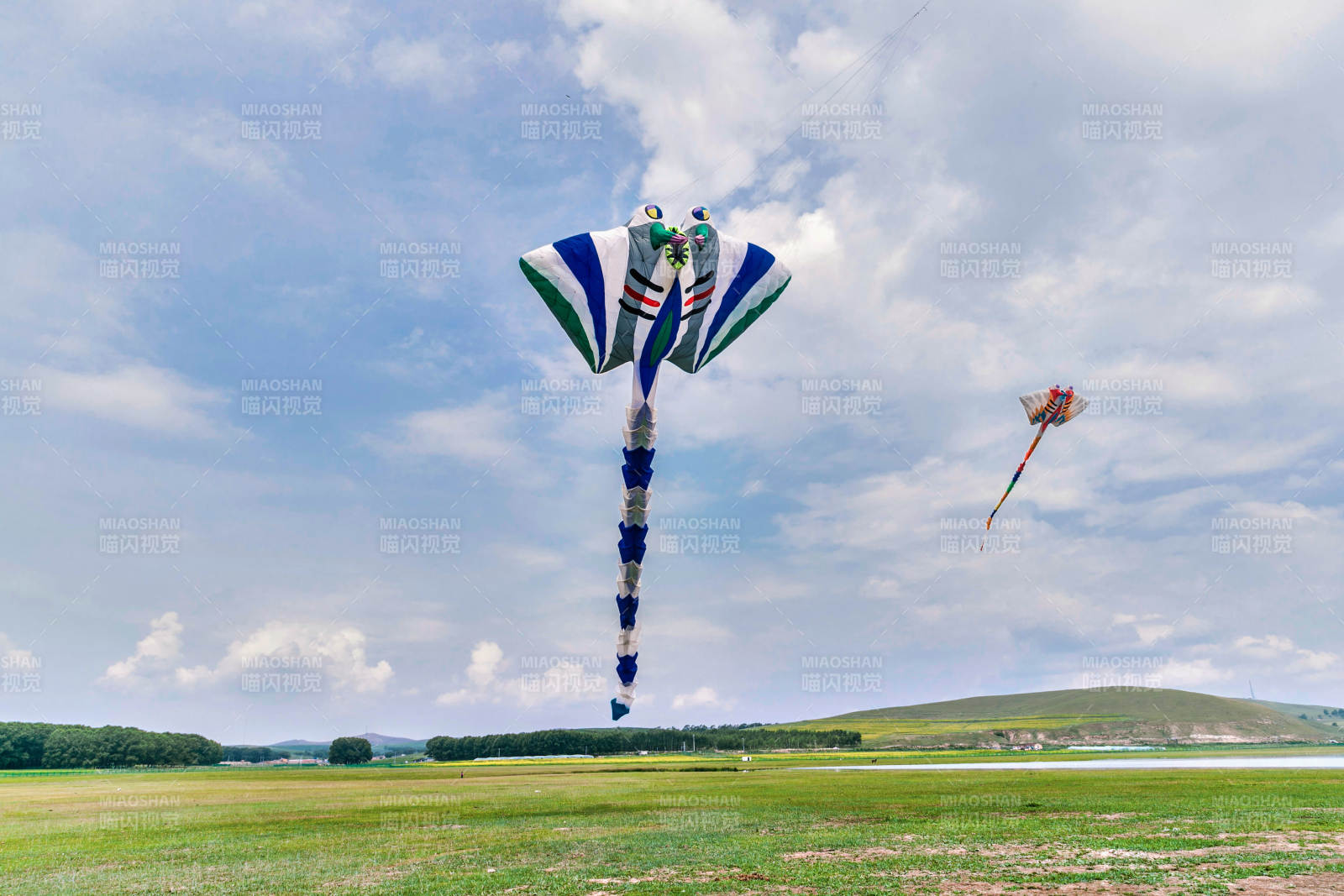 在坝上草原举行的国际风筝大型赛事图片