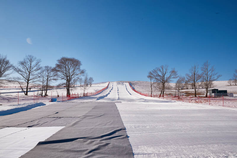 冬季森林自然风景图片
