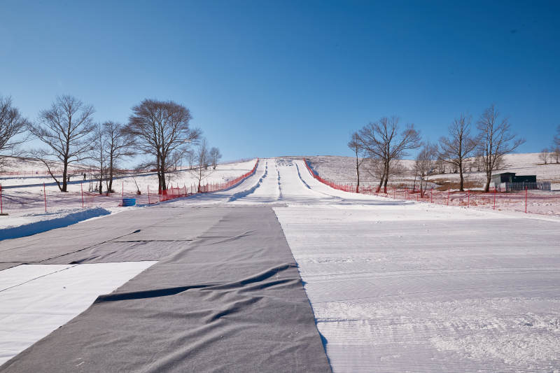 冬季森林自然风景图片