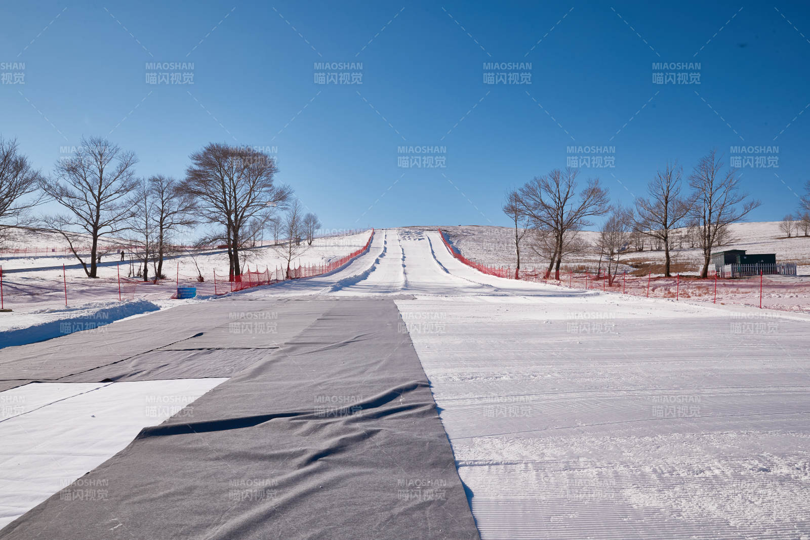 冬季森林自然风景图片