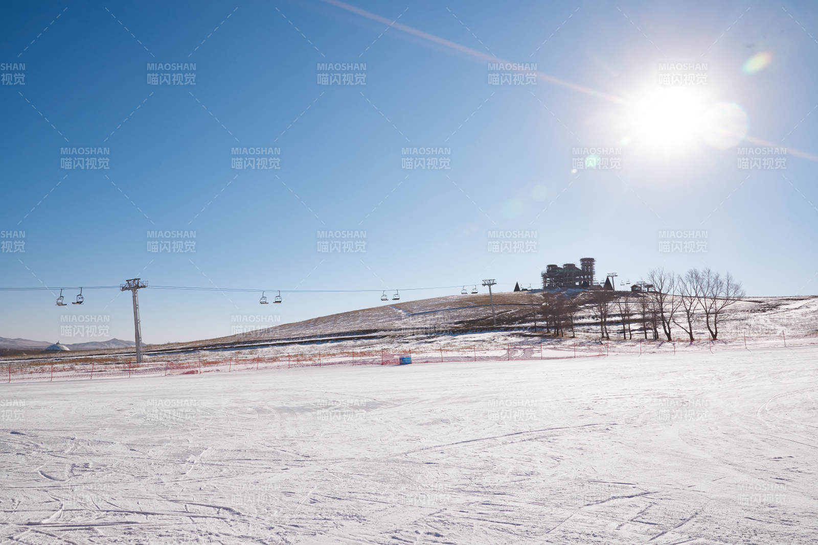 冬季森林自然风景图片