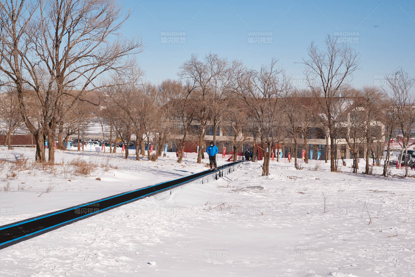 冬季森林自然风景图片