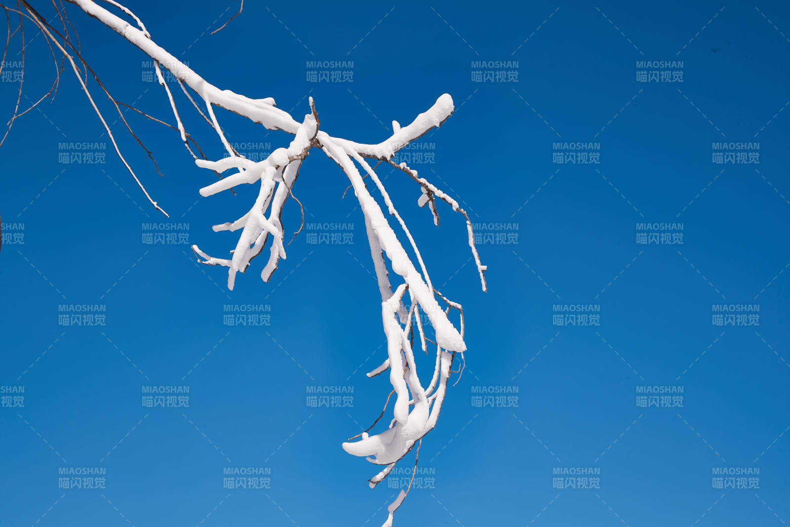 冬季森林自然风景图片