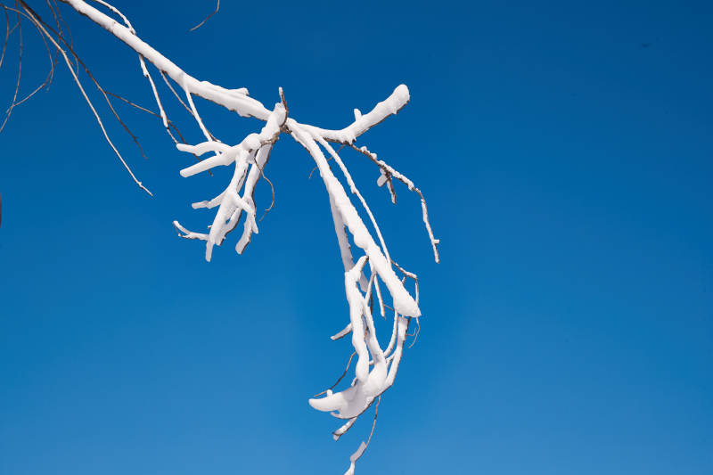 冬季森林自然风景图片