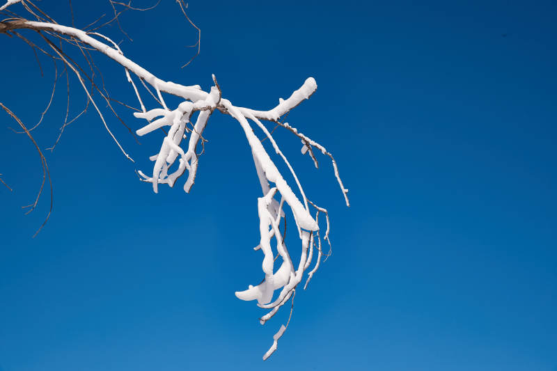 冬季森林自然风景图片