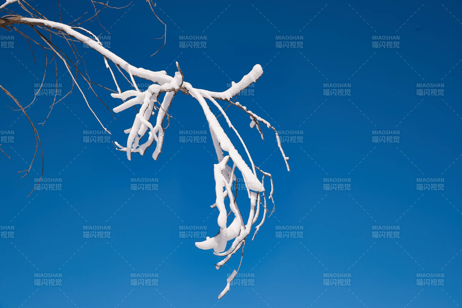 冬季森林自然风景图片