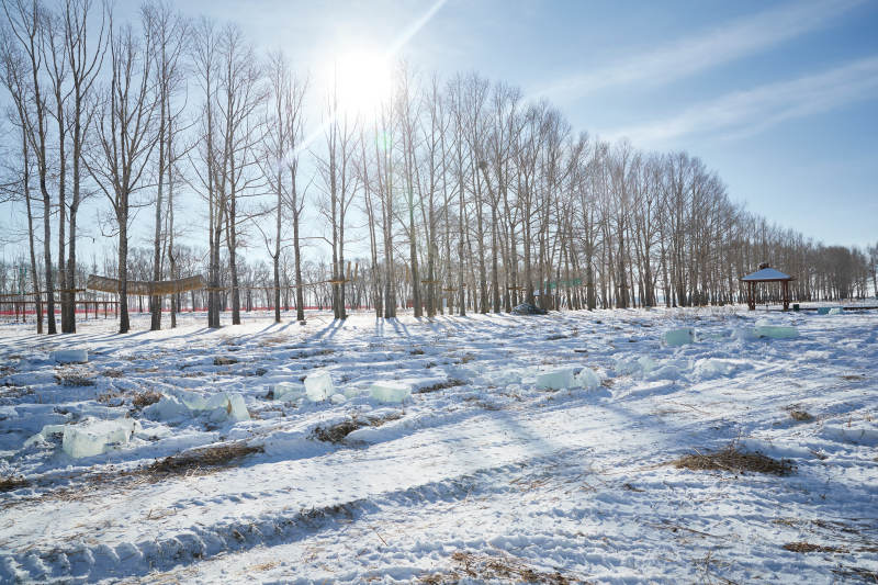张家口沽源县天鹅湖景区冰雕雕刻现场图片