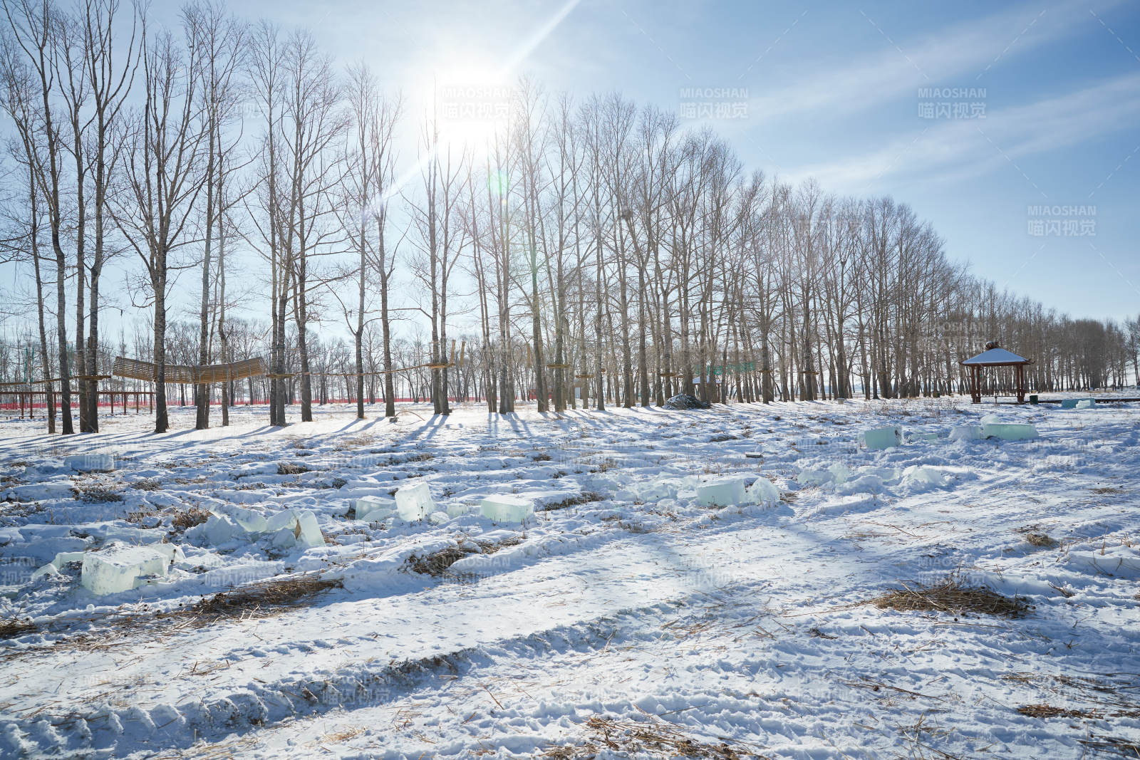 张家口沽源县天鹅湖景区冰雕雕刻现场图片