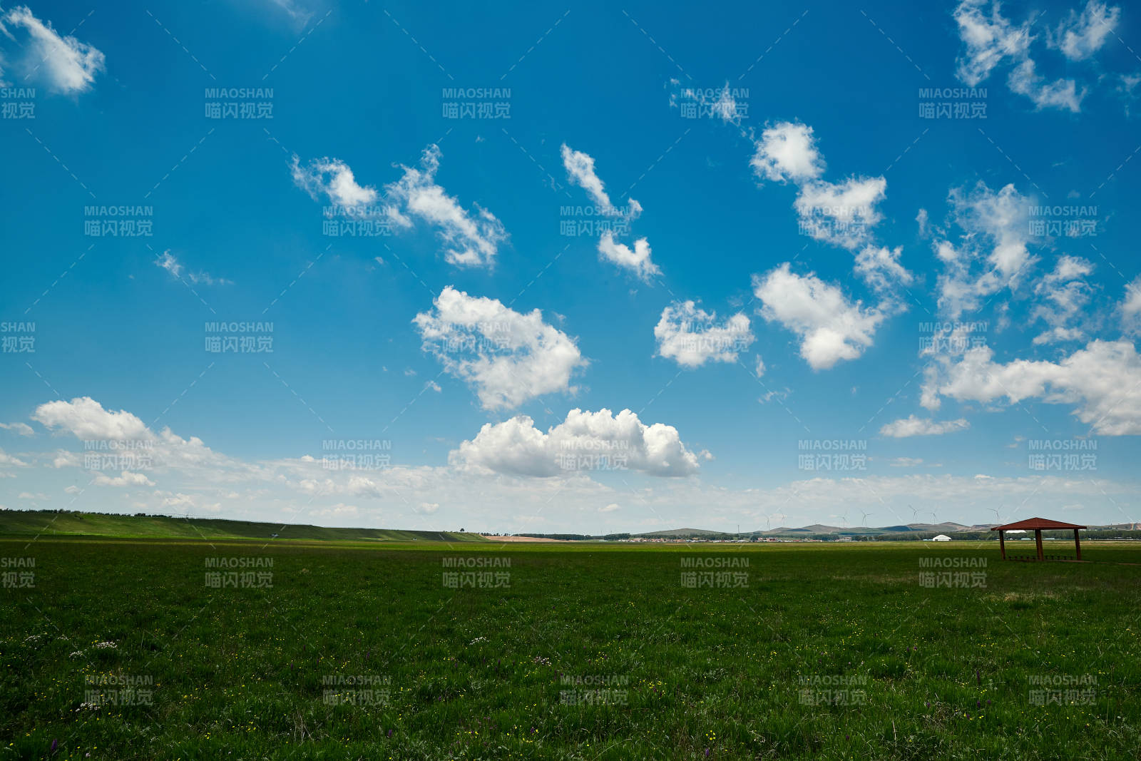 中国河北省张家口沽源县天鹅湖景区湿地花海图片