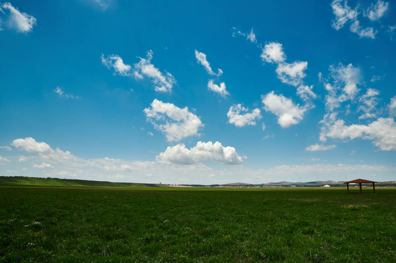 中国河北省张家口沽源县天鹅湖景区湿地花海图片