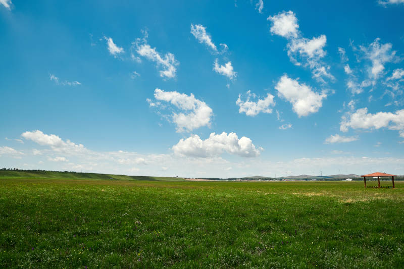 中国河北省张家口沽源县天鹅湖景区湿地花海图片
