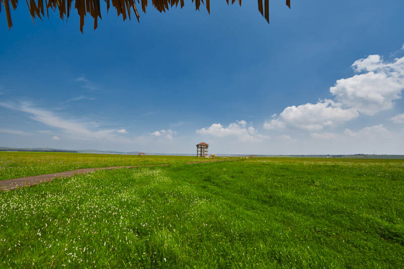 中国河北省张家口沽源县天鹅湖景区湿地花海图片