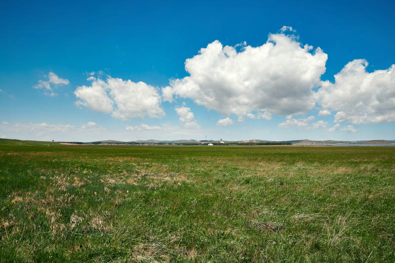 中国河北省张家口沽源县天鹅湖景区湿地花海图片